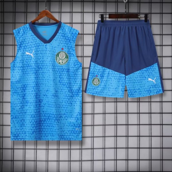 24/25 Palmeiras Blue1:1 Quality Training Vest（A-Set）