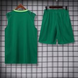 24/25 Palmeiras Green 1:1 Quality Training Vest（A-Set）