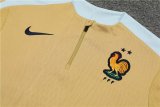 24/25 France Training  Golden 1:1 Quality Training Jersey
