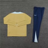 24/25 France Training  Golden 1:1 Quality Training Jersey