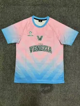 24/25 Venice Goalkeeper Fans 1:1 Quality Soccer Jersey