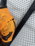 25/26 Japan  Special Edition Player 1:1 Quality Soccer Jersey