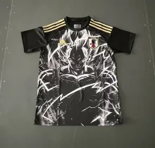 24/25 Japan Special Edition Fans 1:1 Quality Soccer Jersey