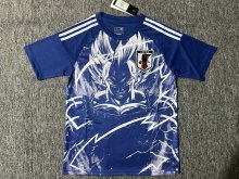 24/25 Japan Special Edition Fans 1:1 Quality Soccer Jersey