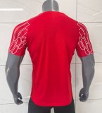 25/26 PSG Paris Third Red Fans 1:1 Quality Soccer Jersey