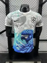 24/25 Brazil   Special  Edition  Player  1:1 Quality Soccer Jersey