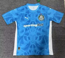 25/26 Palmeiras  Goalkeeper Fans 1:1 Quality  Soccer Jersey
