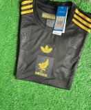 25/26 Mexico Special Edition Fans 1:1 Quality Soccer Jersey