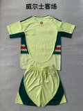24/25  Wales Away Kids Kits 1:1 Soccer Jersey