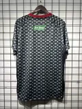 25/26 Palestino  Away Fans 1:1 Quality Soccer Jersey（巴勒斯坦人）