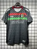 25/26 Palestino  Away Fans 1:1 Quality Soccer Jersey（巴勒斯坦人）