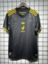 25/26 Mexico Special Edition Fans 1:1 Quality Soccer Jersey