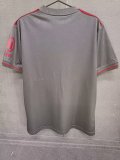 25/26 Bayern Munich 125th Anniversary Edition Grey Fans 1:1 Quality Soccer Jersey