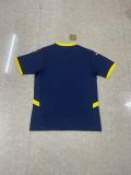 25/26  Fenerbahce Special Edition Fans 1:1 Quality Soccer Jersey