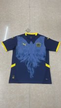 25/26  Fenerbahce Special Edition Fans 1:1 Quality Soccer Jersey
