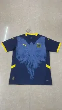 25/26  Fenerbahce Special Edition Fans 1:1 Quality Soccer Jersey