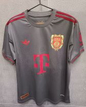 25/26 Bayern Munich 125th Anniversary Edition Grey Fans 1:1 Quality Soccer Jersey