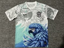25/26 Brazil  Special Edition  Fans 1:1 Quality Soccer Jersey