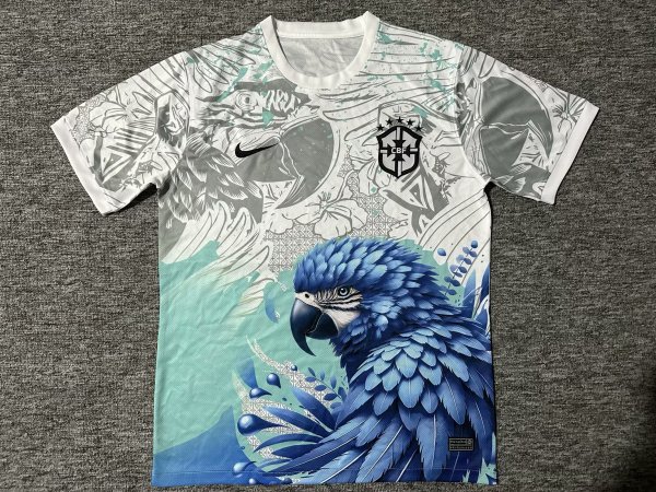 25/26 Brazil  Special Edition  Fans 1:1 Quality Soccer Jersey