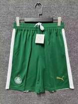 24/25 Palmeiras Away Fans Shorts