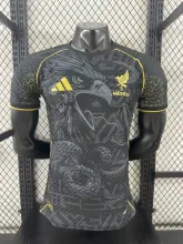 25/26  Mexico Special Edition Player 1:1 Quality Soccer Jersey
