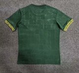 25/26 Mexico Special Edition Green Fans 1:1 Quality Soccer Jersey