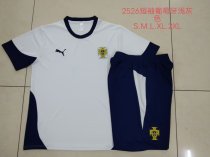 24/25  Portugal Light Gray 1:1 Quality Training （A-Set）