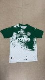 24/25 Palmeiras Special Edition Fans 1:1  Quality  Soccer Jersey