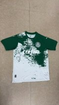 24/25 Palmeiras Special Edition Fans 1:1  Quality  Soccer Jersey