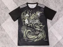 25/26 Liverpool  Special Edition Fans 1:1 Quality Soccer Jersey
