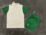 25/26 Palmeiras  Away Adult Kits 1:1  Quality  Soccer Jersey（成人套装）