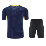 24/25 Inter Milan  Blue 1:1 Quality Training Jersey（A-Set）