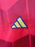 25/26 Spain Special Edition Fans 1:1 Quality Soccer Jersey