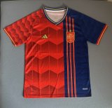 25/26 Spain Special Edition Fans 1:1 Quality Soccer Jersey
