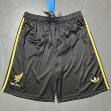 25/26 Mexico Special edition  1:1 Quality Shorts