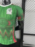 25/26  Mexico Special Edition  Player 1:1 Quality Soccer Jersey