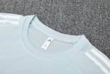 25/26 Japan Light Gray 1:1 Quality Training Jersey（A-Set）