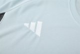 25/26 Japan Light Gray 1:1 Quality Training Jersey（A-Set）