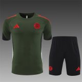 25/26 Bayern Munich  Green 1:1 Quality Training Jersey（A-Set）