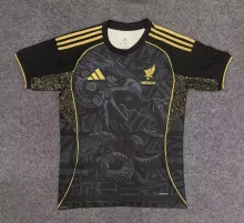 25/26 Mexico Special Edition Fans 1:1 Quality Soccer Jersey