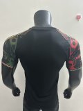 25/26  Mexico Special Edition  Player 1:1 Quality Soccer Jersey