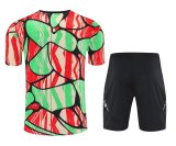 25/26 Arsenal Color 1:1 Quality Training Jersey（A-Set）
