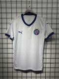 25/26 Bahia November Home Fans 1:1 Quality Soccer Jersey