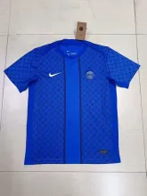 25/26 PSG Paris Training clothes  Fans 1:1 Quality Soccer Jersey