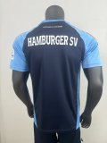 25/26 Hamburger SV Special Edition Fans 1:1 Quality Soccer Jersey