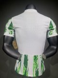 25/26 Nigeria Home Player 1:1 Quality Soccer Jersey