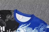 25/26 Real Madrid Special Edition 1:1 Quality Training Jersey（A-Set）