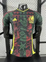 25/26  Mexico Special Edition  Player 1:1 Quality Soccer Jersey