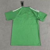 25/26 Newcastle Training clothes Green Fans 1:1 Quality Soccer Jersey