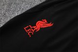 25/26  Liverpool  White  Fans  1:1 Quality Training Jersey